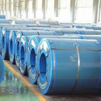 Prepaint Steel Coil/Sheet