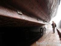 Shipping Paint