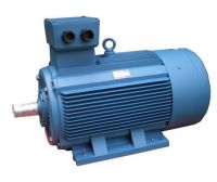 Electric Motor Y2 series