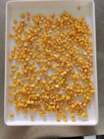 Canned sweet corn