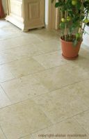 Travertine Tiles