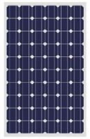 Solar Mono Panel