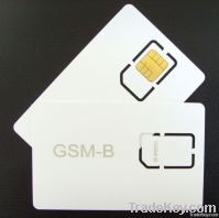 Micro GSM test card