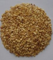 Chili Seeds