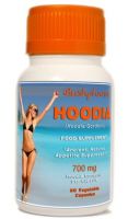 Hoodia Gordonii 700mg capsules