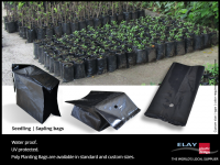 Planting bag