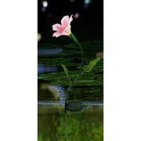 Solar Flower Lights