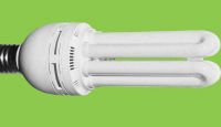 Compact Fluorescent Lamp