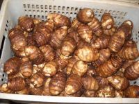 fresh taro