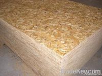 oriented strand board