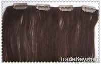 Human Hair Clip In Hair Extensions