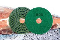 DIAMOND POLISHING  PAD