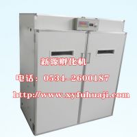 sell chicken eggs incubator, small incubator