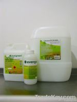 Evergreen Bio Degreaser