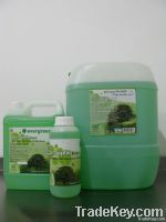 Evergreen Bio Clean