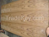 natural teak fancy plywood