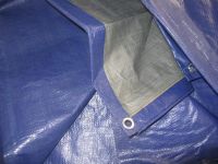 Tarpaulin