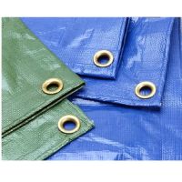 Tarpaulin