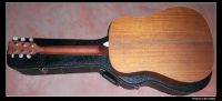 Acoustic Guitar JS-01