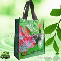 PP woven Bag, PP shopping Bag