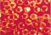 Synthetic Diamond MBD8