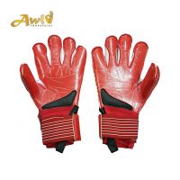 Goalkeeper Gloves