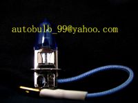 auto bulb