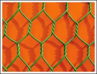 Hexagonal Wire Netting