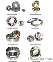 Ball Bearing and Roller Bearing