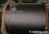 316 Spiral Wire/Stainless Steel Single Srand Wire 1*7 /1*19/1*37