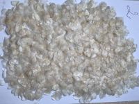 Organic Dried Fish Scale – Processed Raw Material For Skincare & Medicine