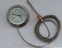 Mamometric Thermometer