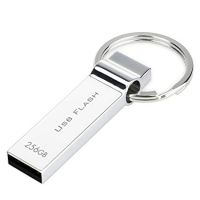 Metal Key Chain USB Flash Drive 1GB ,2GB, 4GB, 8GB 