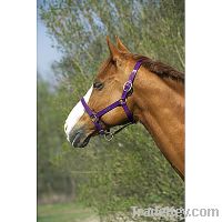 Horse Halter