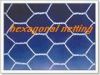 hexagonal wire mesh