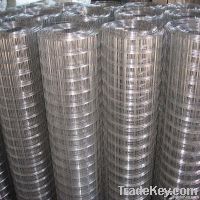 Galvanized Welded Wire Mesh