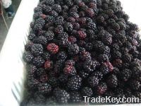 Fozen Blackberry