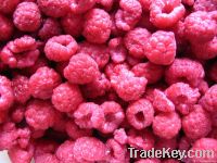 Frozen Raspberry