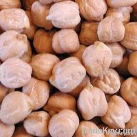 chickpeas suppliers,chick pea exporters,chickpea traders,kabuli chickpea buyers,desi chick peas wholesalers,low price chickpea,best buy chick peas,buy chickpea