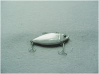 Supply Fishing Baits /lure