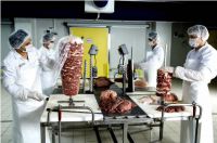 KEBAB MEAT PRODUCTION MACHINES-lines TURKEY.