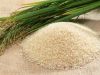 RICE SUPPLIER| PARBOILED RICE IMPORTERS | BASMATI RICE EXPORTER| KERNAL RICE WHOLESALER| WHITE RICE MANUFACTURER| LONG GRAIN TRADER| BROKEN RICE BUYER | IMPORT BASMATI RICE| BUY KERNAL RICE| WHOLESALE WHITE RICE| LOW PRICE LONG GRAIN