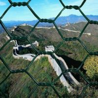 Hexagonal Wire Netting