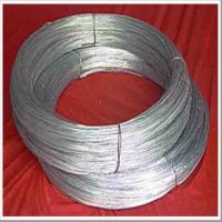 Galvanized Iron Wire