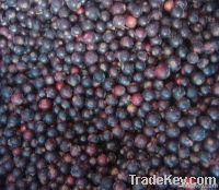 Frozen Black Currant