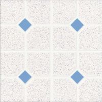 ceramic floor tile
