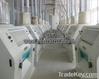 30T-500T/D wheat/maize milling plant