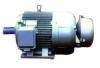 Slip Ring Motor (YR, YR2)