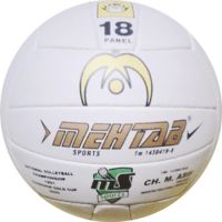 Volley Ball Champion