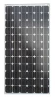 World-Class Solar Module, PV panel